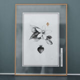 Tableau - " La fraise et la fleur d'oranger"