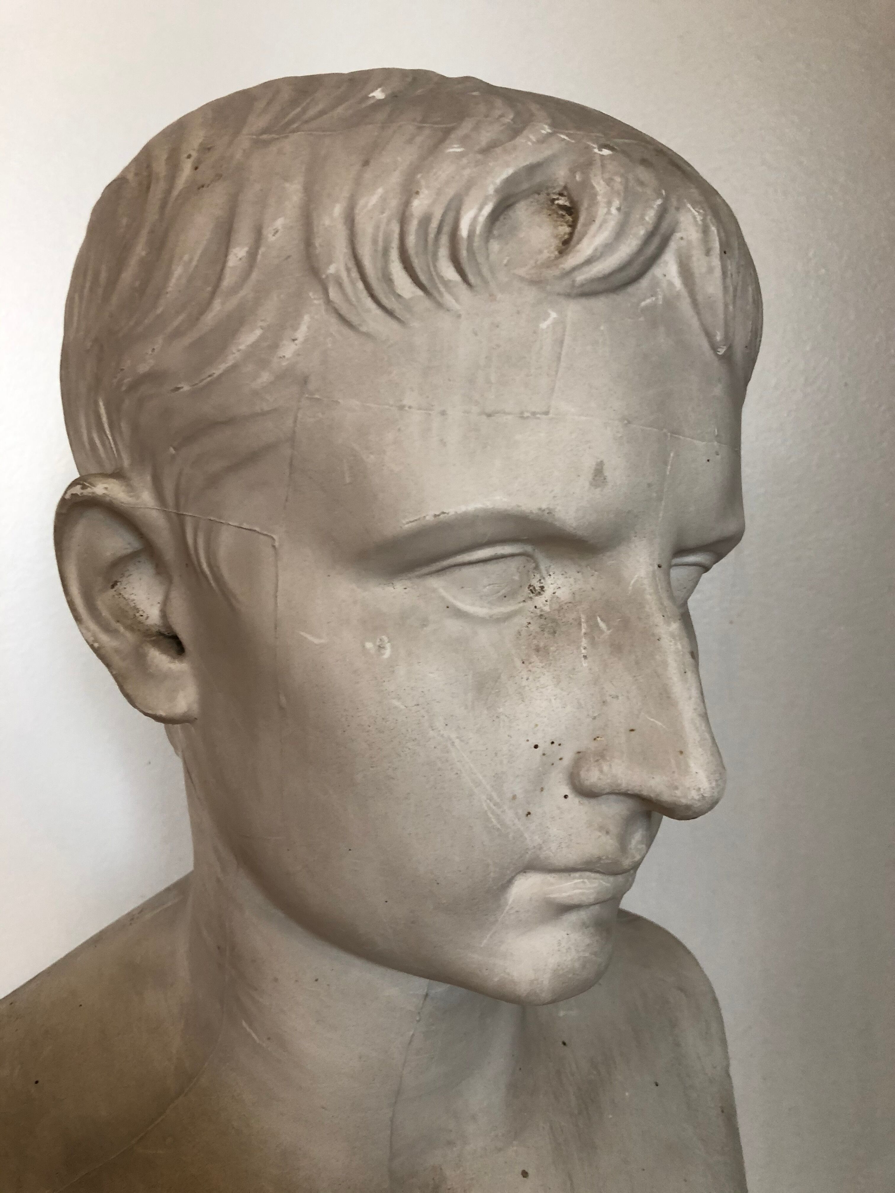 Bust of Bonaparte in plaster