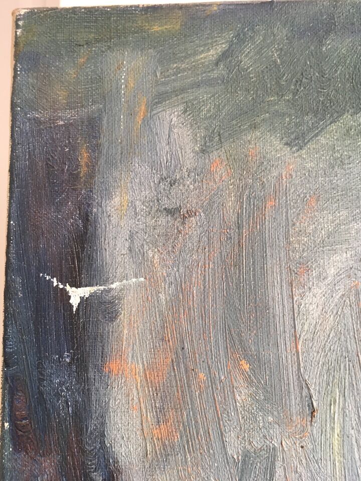 Portrait in oil on canvas