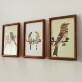 Set of 3 paintings featuring butterfly wing compositions.