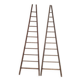 Double ladder for market gardening, fruit harvest, old wooden picking - 3m65