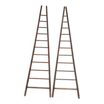 Echelle double de maraîcher récolte fruitière cueillette ancienne en bois -3m65