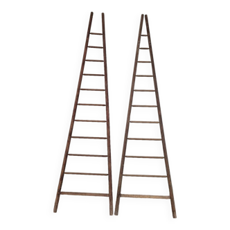 Double ladder for market gardening, fruit harvest, old wooden picking - 3m65