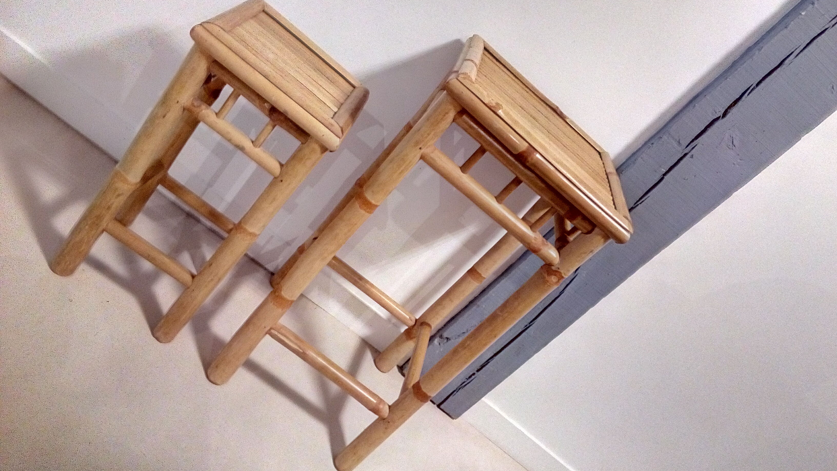 Bamboo selette plant-carrier duo