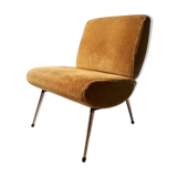 Mustard chair Pelfran model Kiss