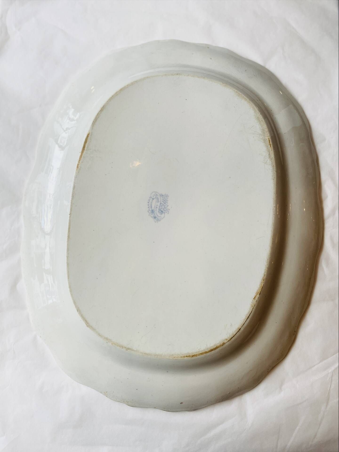 Grand plat ancien anglais « Asiatic Pheasants » – XIXe siècle