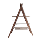 Ladder shelf