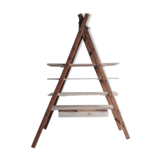 Ladder shelf