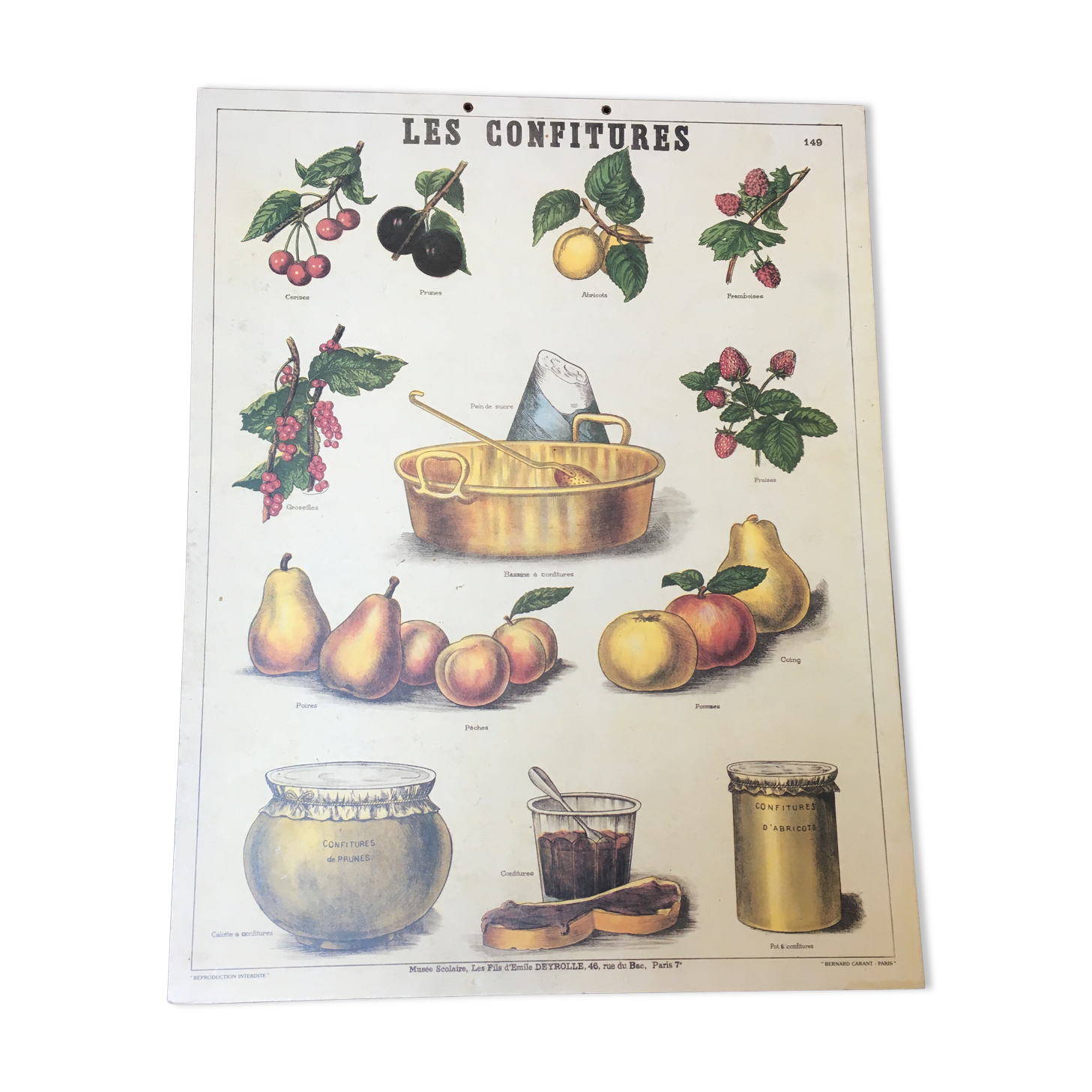 Pedagogical poster "jams" school museum of Emile Deyrolle