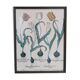 Framed botanical board