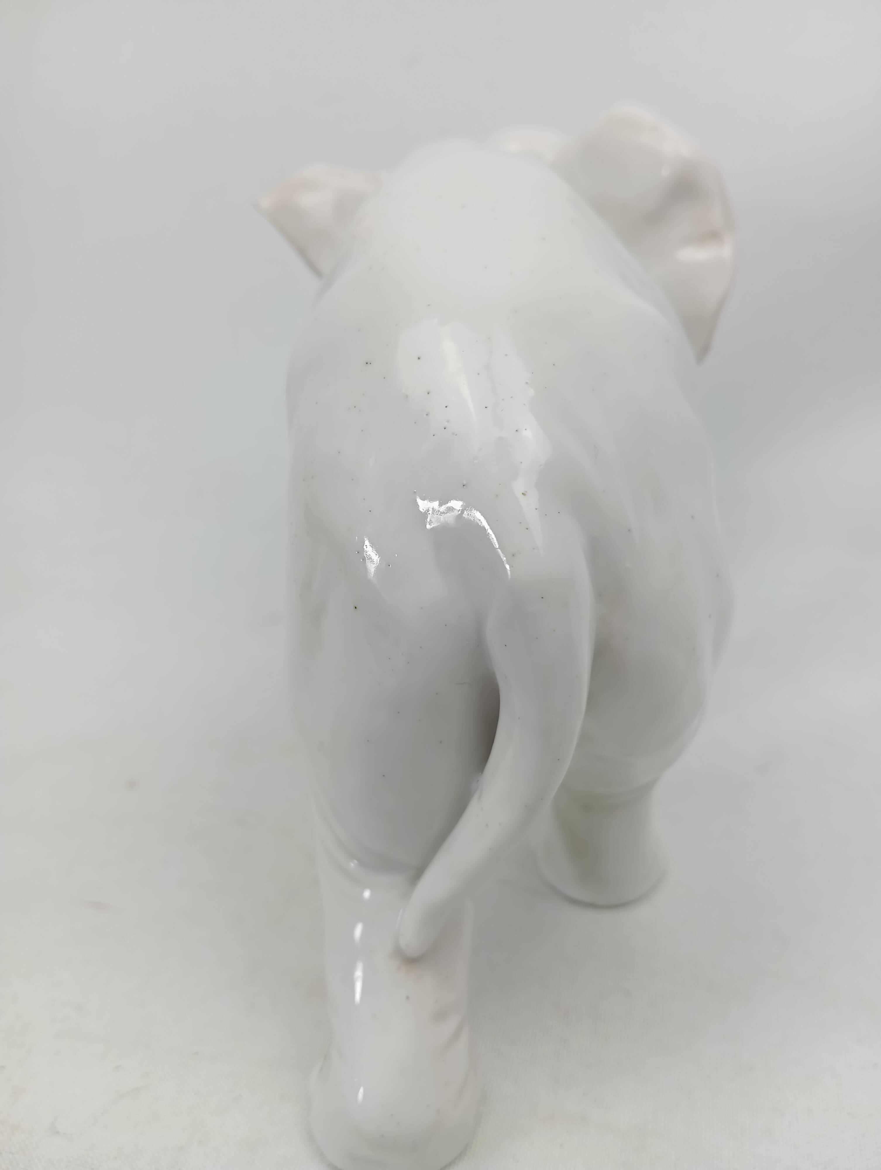 Capodimonte ceramic elephant 18-19th century (broken ears)