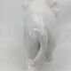 Capodimonte ceramic elephant 18-19th century (broken ears)