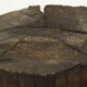 Primitive Wabi Sabi oak chopping block / pedestal