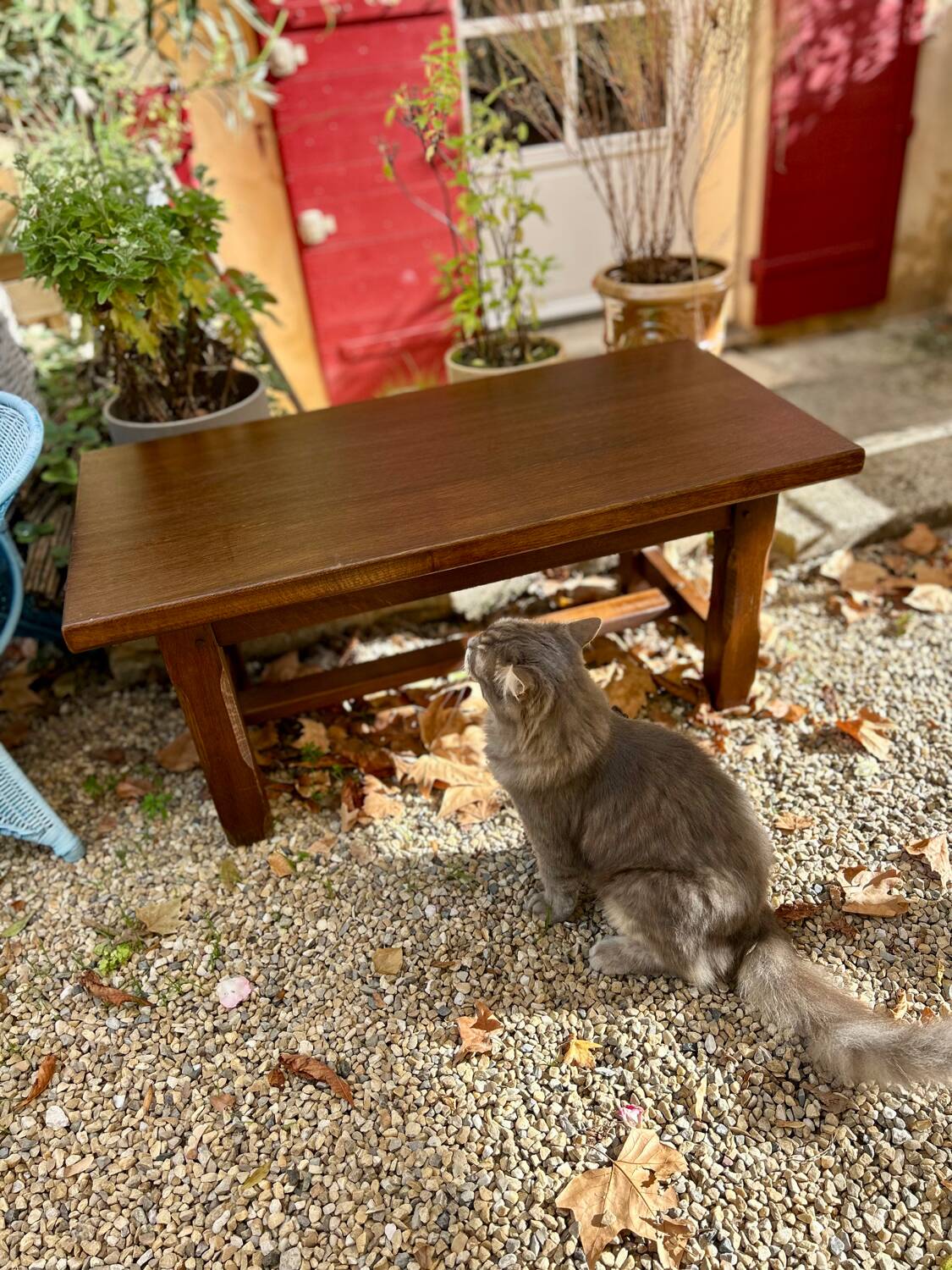 Solid wood coffee table