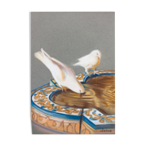 Drawing of pigeons drinking from a fountain. painting of doves. painting of pigeons.