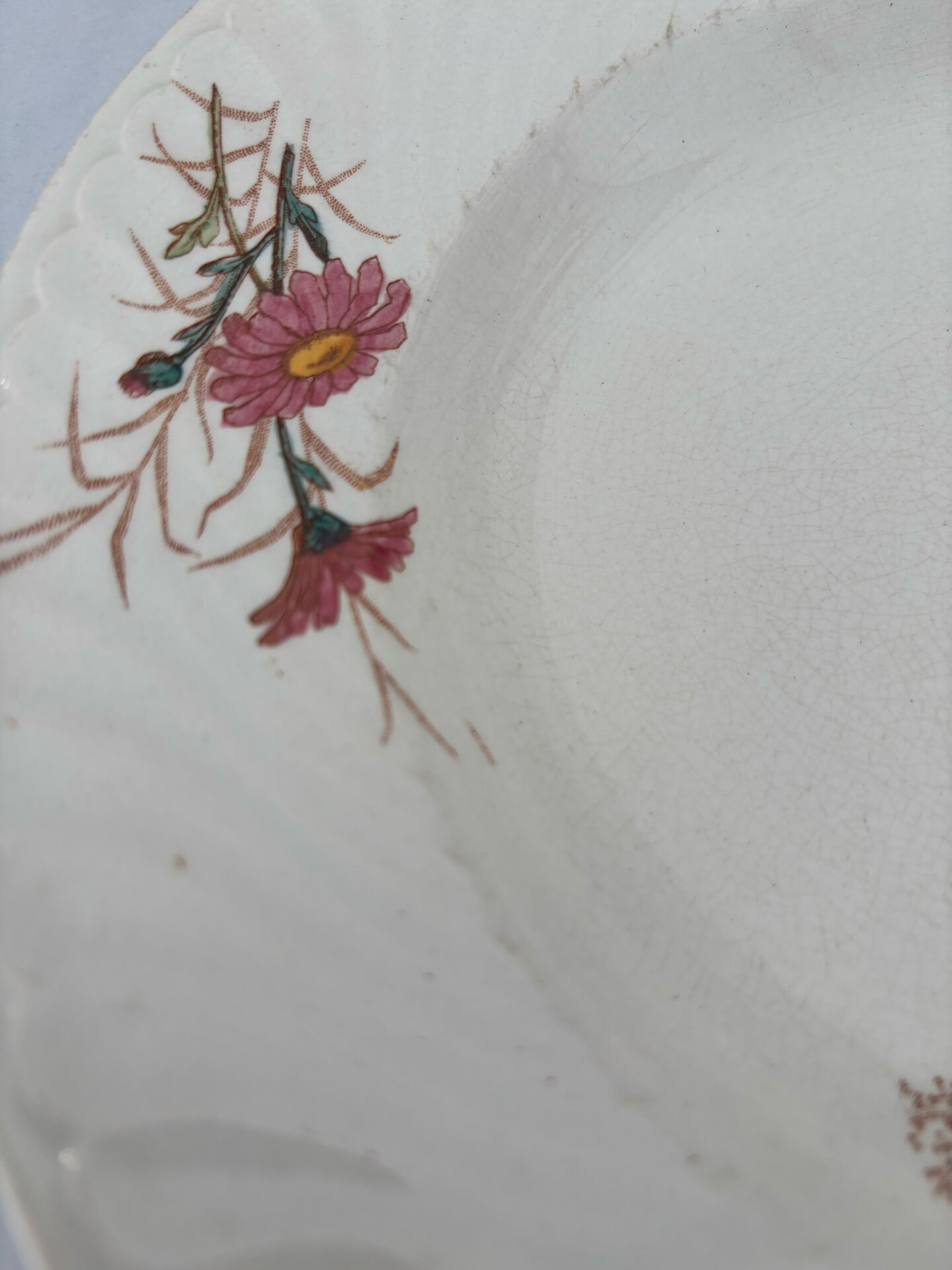 Old hollow plate, pink polychrome ironstone, KG Luneville model.