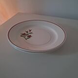 Flat plates Salins France