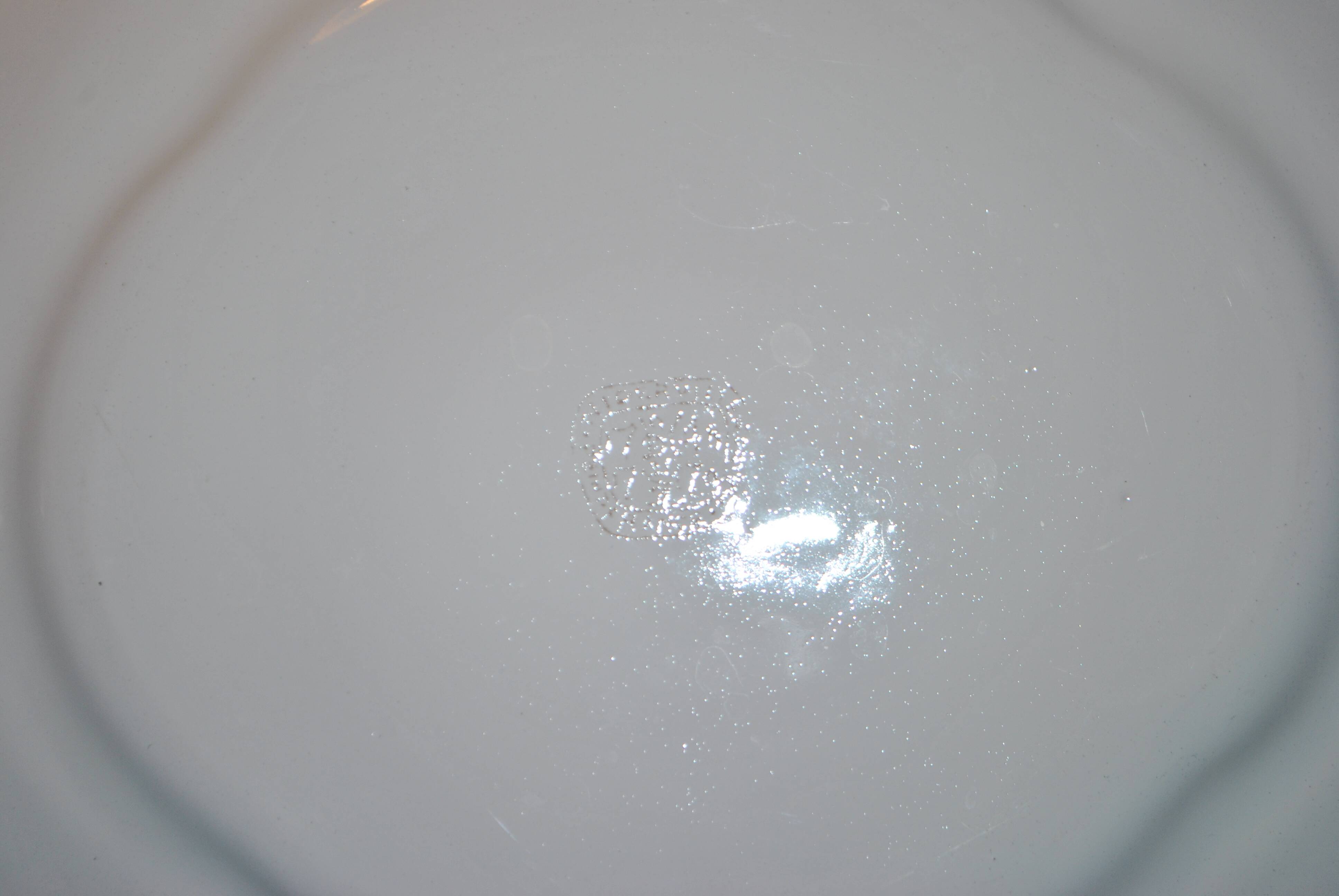 Oval earthenware dish from Niderviller "Beyerlé Grand Siècle" 32x36cm