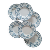 Service of 6 plates in iron earth