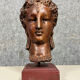 Diane de Poitiers stone bust on a terrace in false pretense of marble