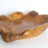 Glove fig tree wooden