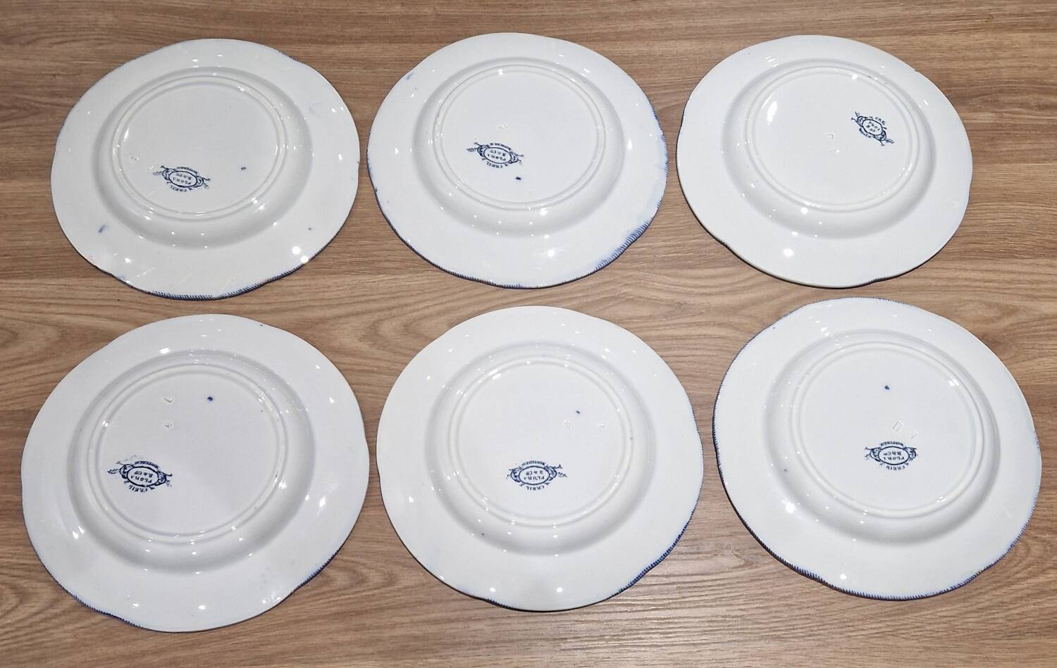 Lot of 6 flat plates Creil Montereau model Flora