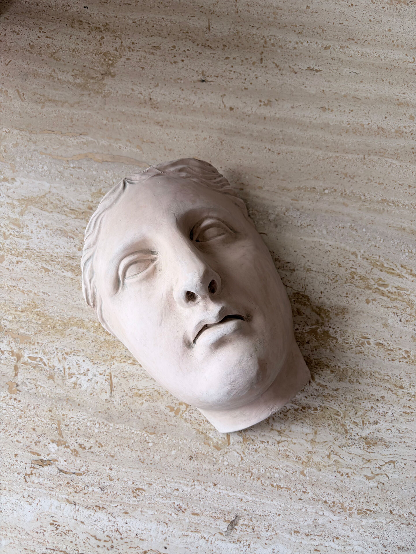 Wall sculpture of the face of the Venus de Milo in plaster.