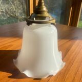 Paire d'appliques col de cygne opaline