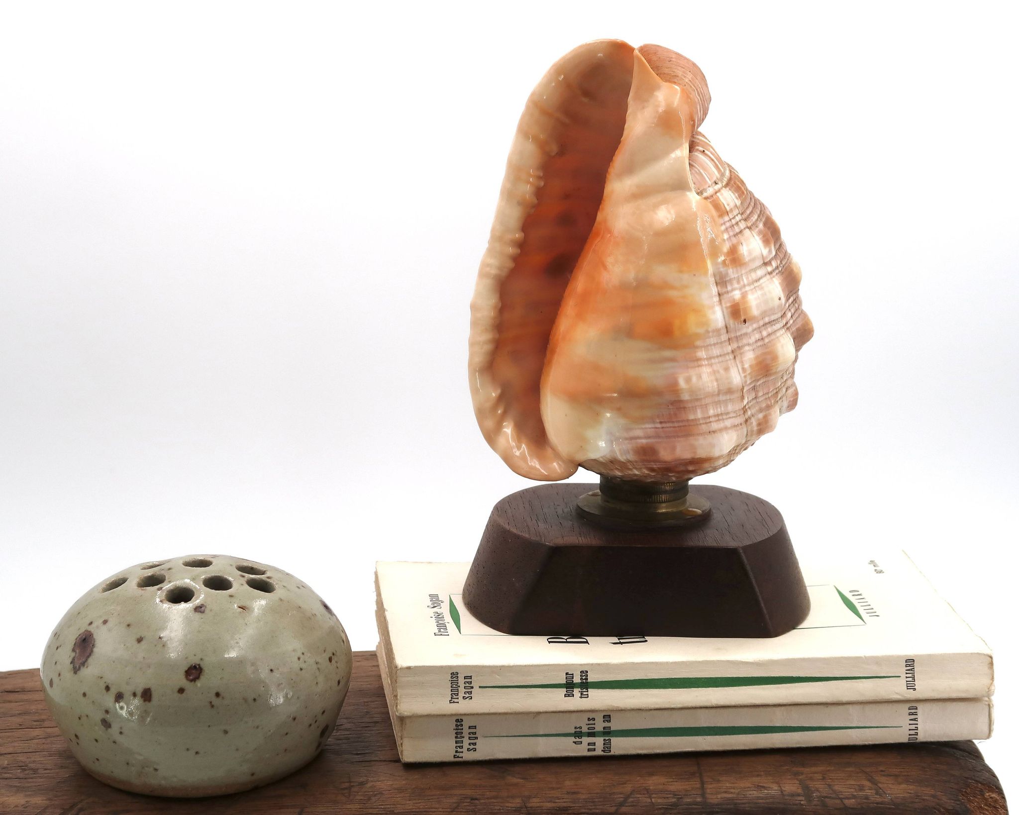 Lampe à poser coquillage naturel et socle en bois, années 60