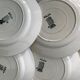 11 dessert plates Saint Amand Terre de Fer, 1930
