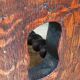 Antique stool in turned and carved solid wood