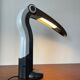 Toucan light in black and white H T Huang