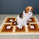 Life sized vintage glazed terracotta St Bernard dog sculpture, 1960s