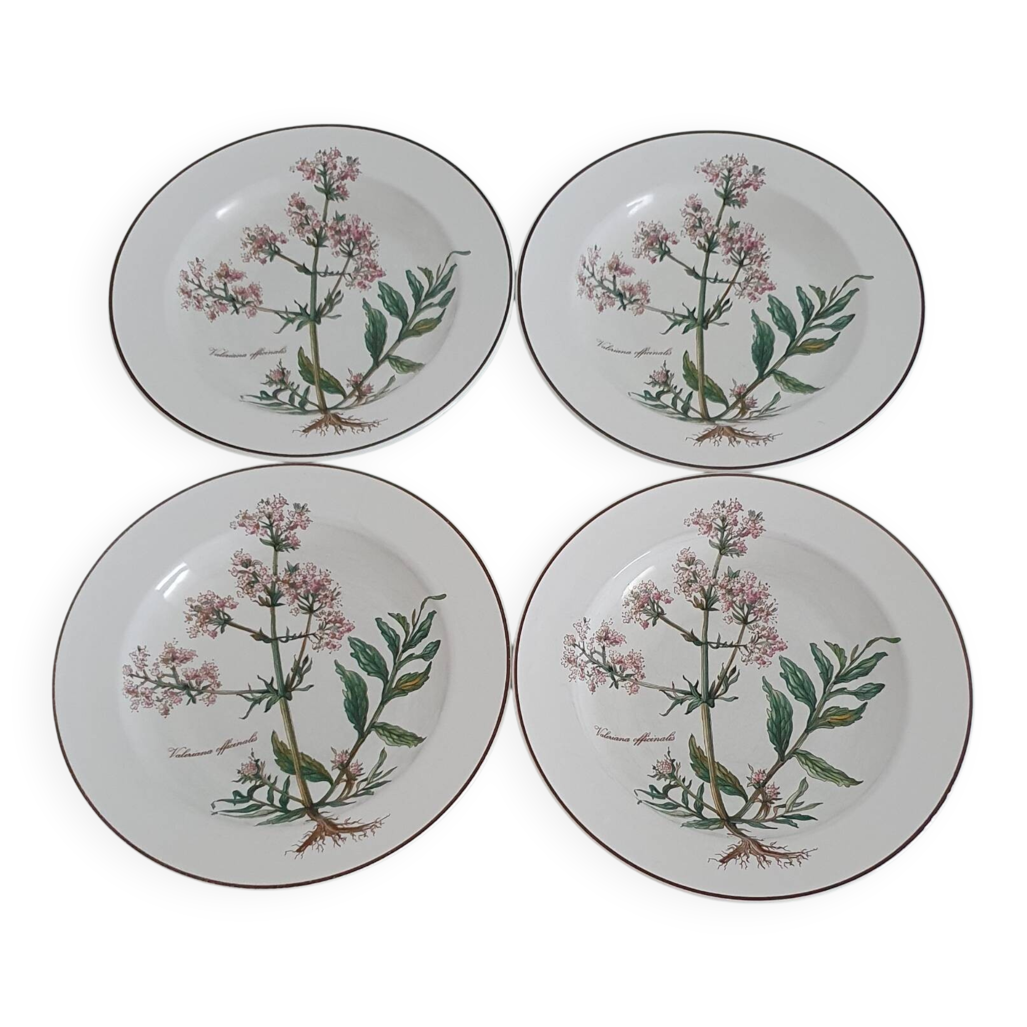 Set of 4 Villeroy and Boch plates, Botanica collection