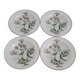 Lot de 4 assiettes Villeroy et Boch, collection Botanica