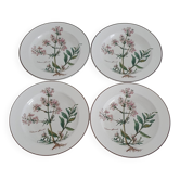 Lot de 4 assiettes Villeroy et Boch, collection Botanica