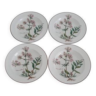 Lot de 4 assiettes Villeroy et Boch, collection Botanica