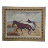 Horses in Camargue