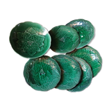 Plates in gien earthen earthenware slurry