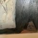 Large portrait painting of a woman, oil on canvas, signed.