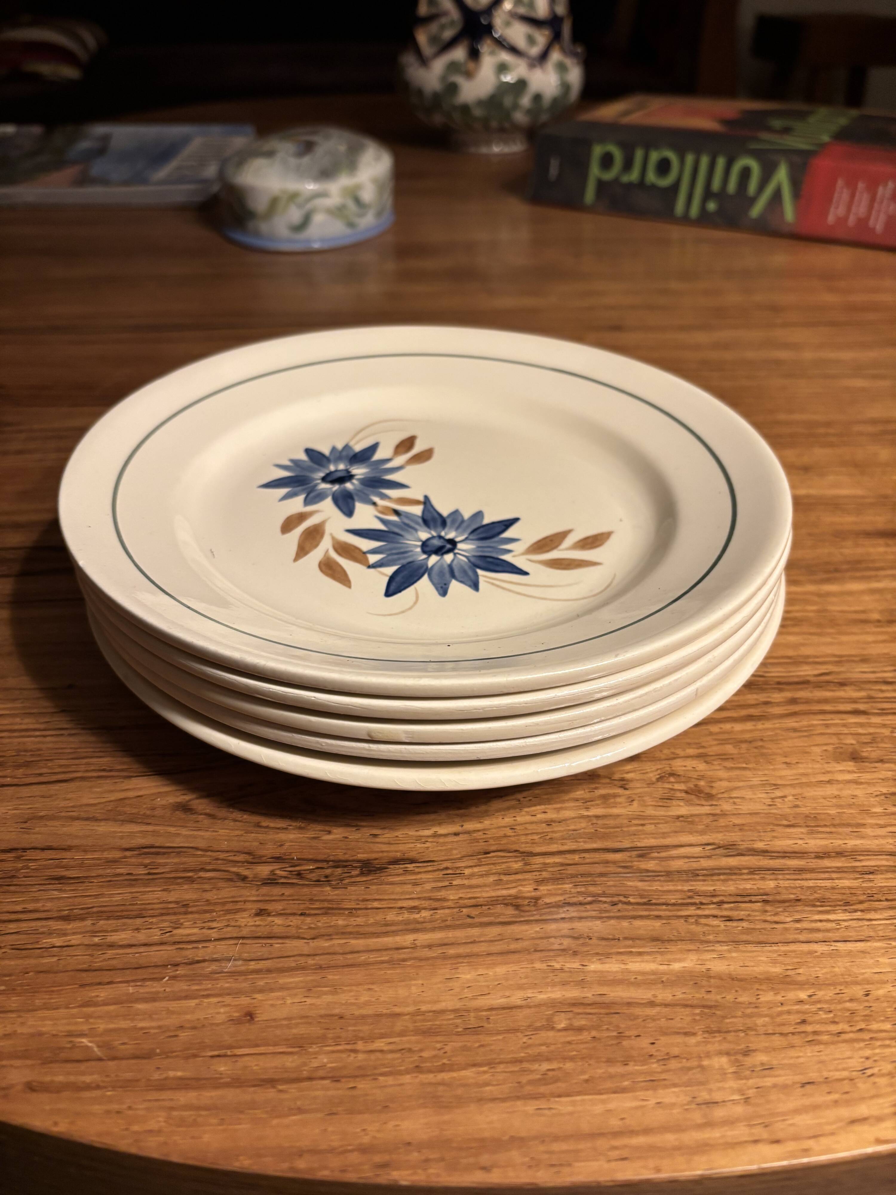 HBCM Terre de fer 1930 dinner plates