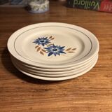 HBCM Terre de fer 1930 dinner plates