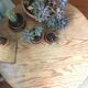 Wooden coffee table