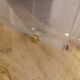 Bedside table or platinum door and vinyls