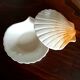 Ceramic shell 1960