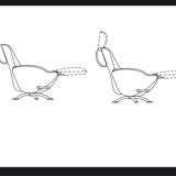 Cassina - 4 fauteuils - dodo - blanc - dodo design toshiyuki kit