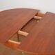 Extendable Scandinavian Round Table