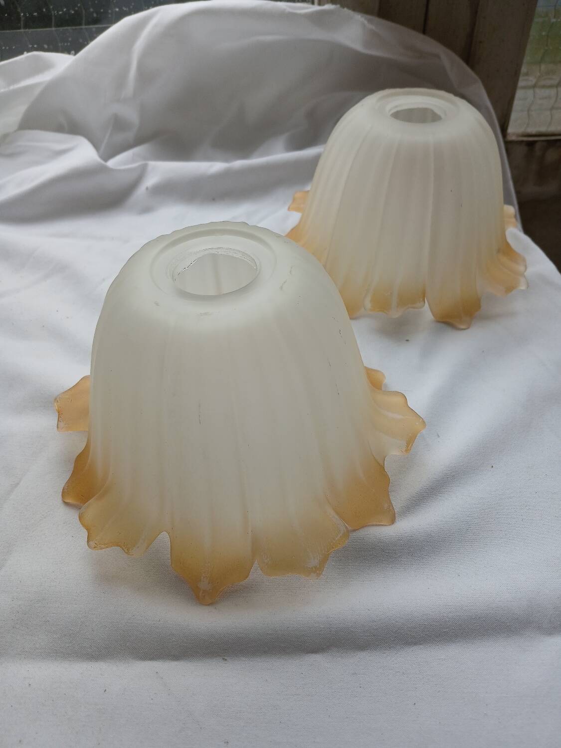 Pair of Art Deco glass tulips / pendant lights