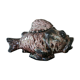 Soupière poisson