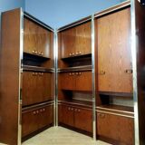 Vintage Scandinavian furniture in two modules in Macassar and chromed metal circa 1960